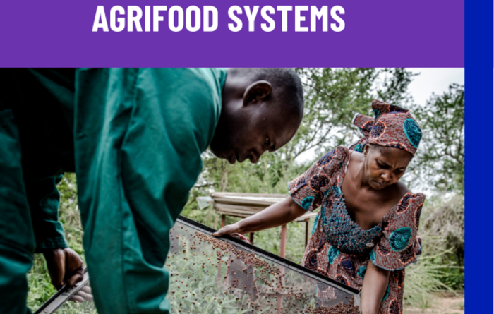 The Status of Women in Agrifood Systems (Fao)