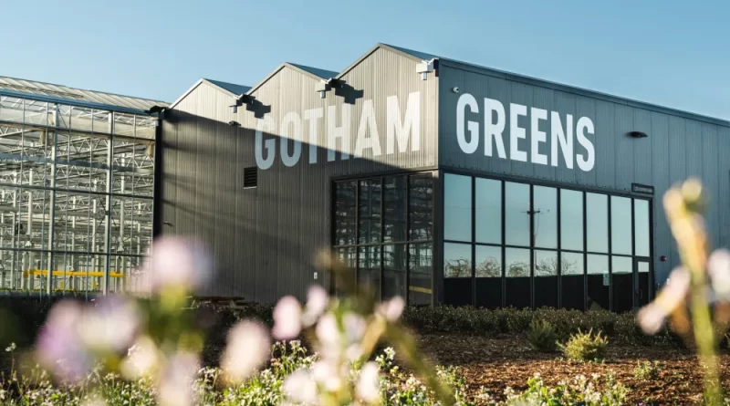 Gotham Greens - Agricoltura sui tetti